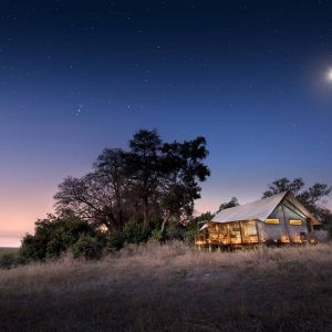Botswana Family Safari